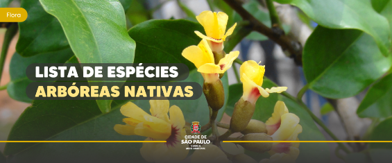 Flor amarela e folhas verdes aparecem atrás de um letreiro "Lista de espécies arbóreas nativas".